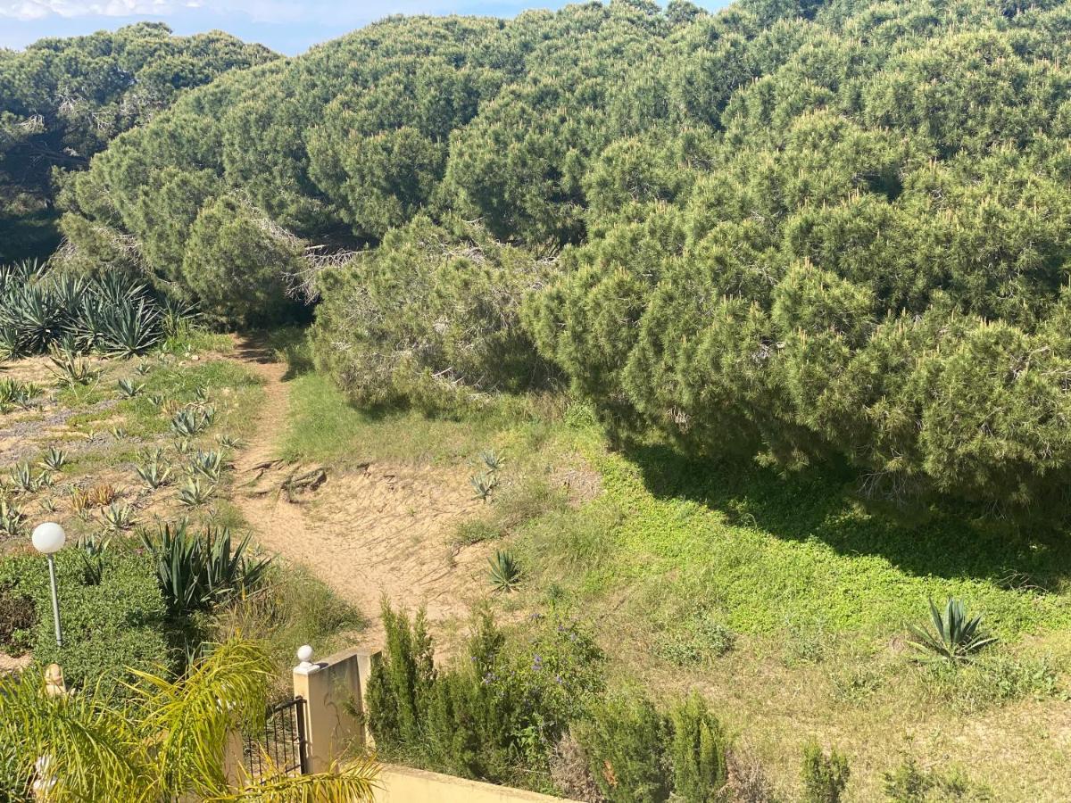 Casa De La Duna Costa Blanca La Mata  Buitenkant foto